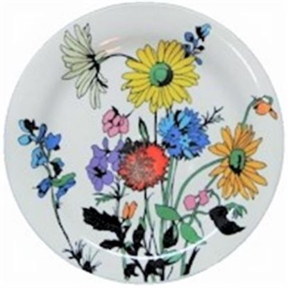 Picture of Dinner Plates