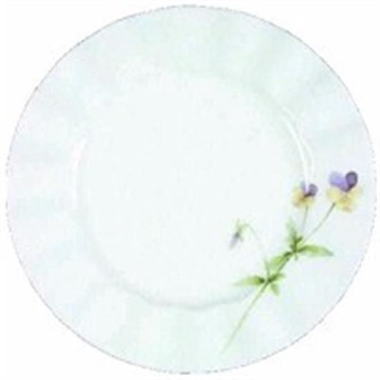Picture of Dinner Plates