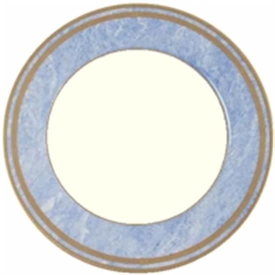 Picture of Dinner Plates