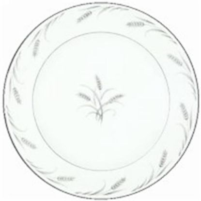 Picture of Dinner Plates