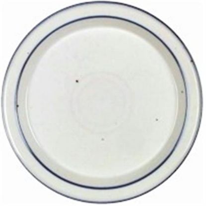 Picture of Dinner Plates
