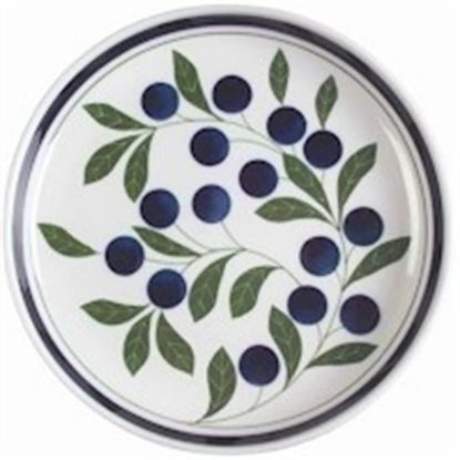 Picture of Dinner Plates