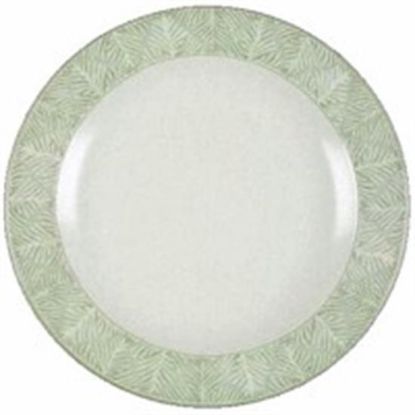 Picture of Dinner Plates