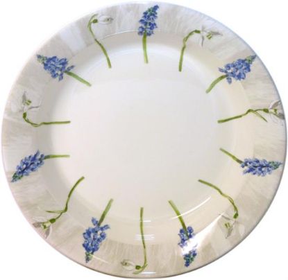 Picture of New Soup Plates