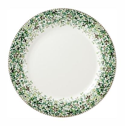 Picture of New Dinner Plate
