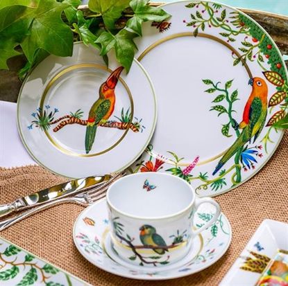 Picture of Dinner Plates