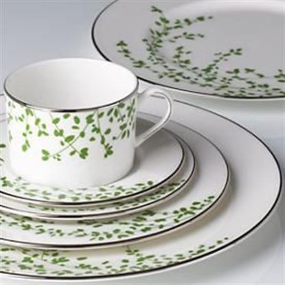 Picture of Dinner Plates