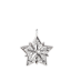 Picture of Reed & Barton 2025 9th Edition Star Sterling Silver Ornament
