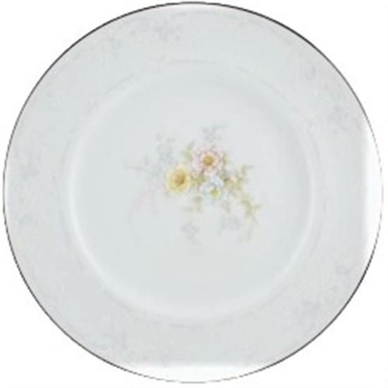 Picture of Dinner Plates
