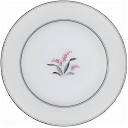 Picture of Dinner Plates