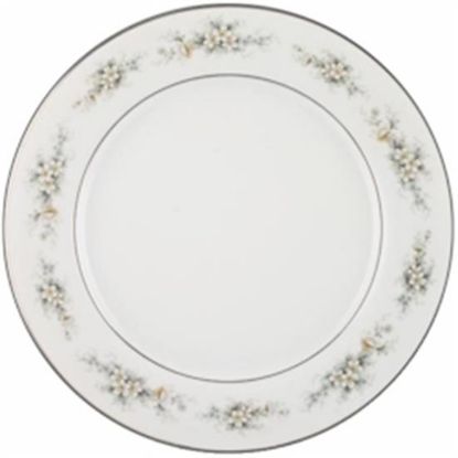 Picture of Dinner Plates