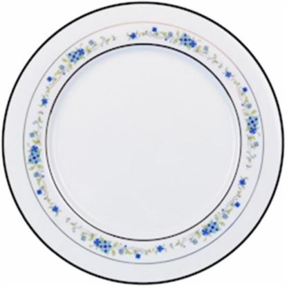 Picture of Dinner Plates