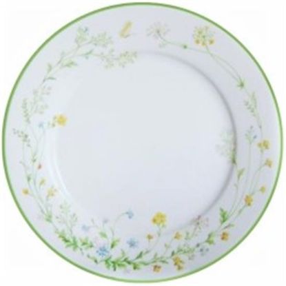 Picture of Dinner Plates