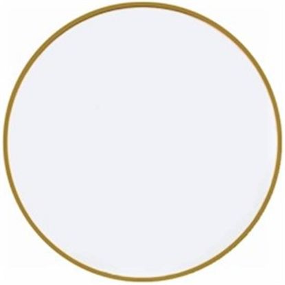 Picture of Dinner Plates