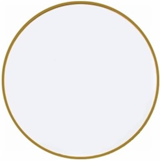 Picture of Dinner Plates