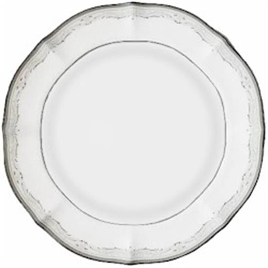 Picture of Dinner Plates