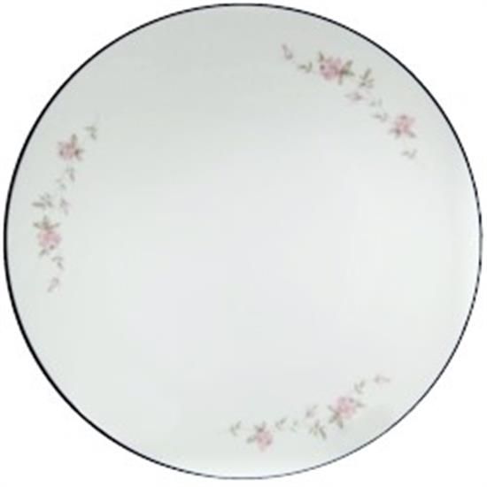 Picture of Dinner Plates