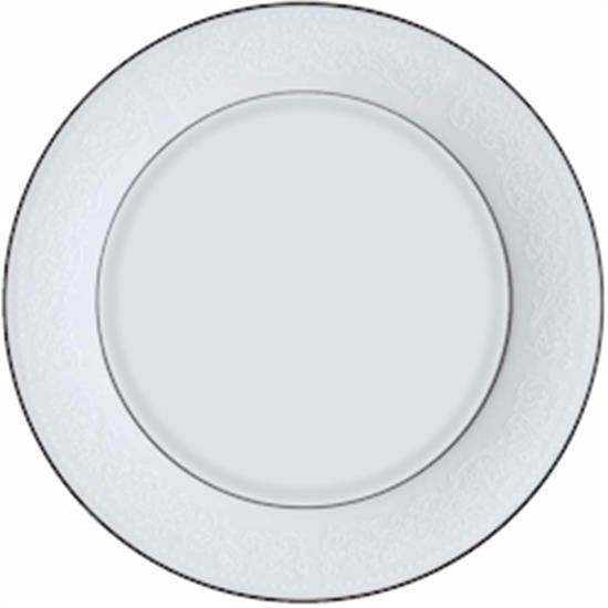 Picture of Dinner Plates