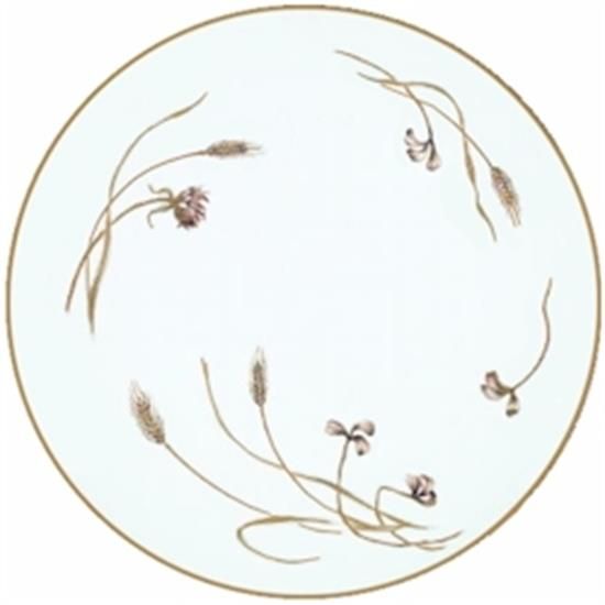 Picture of Dinner Plates