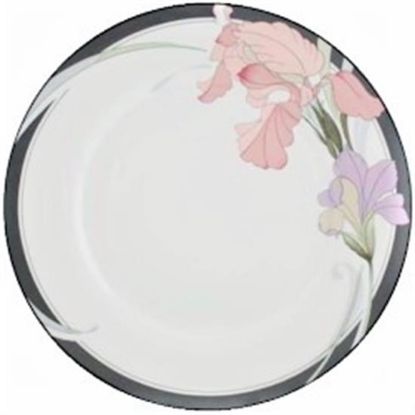 Picture of Dinner Plates