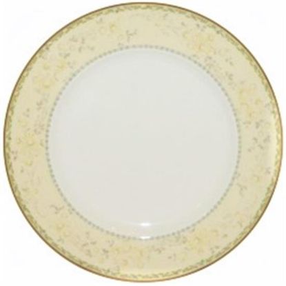Picture of Dinner Plates