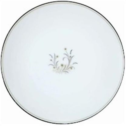 Picture of Dinner Plates