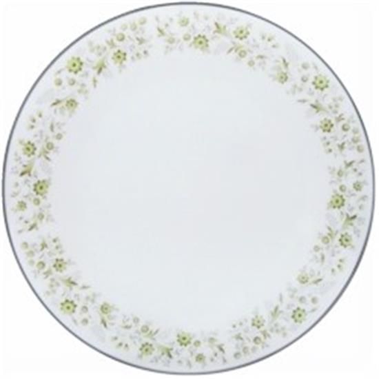 Picture of Dinner Plates