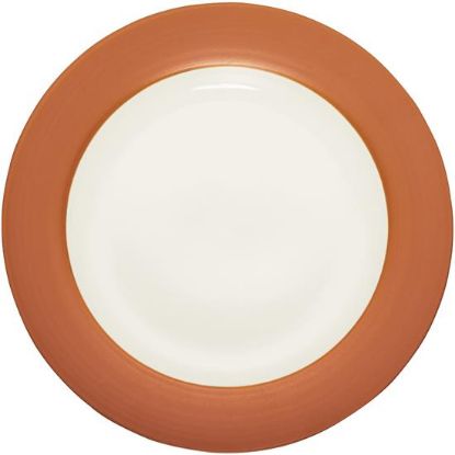 Picture of New Service Plate 12"