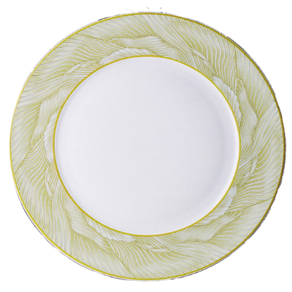 Picture of New Service Plate 12"