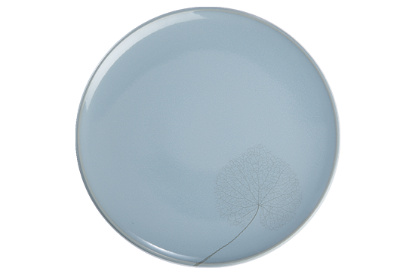 Picture of New Dinner Plate