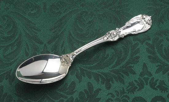 Table Serving Spoon