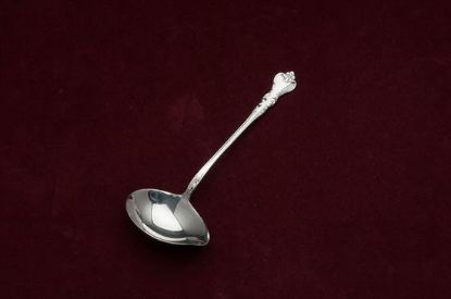 Picture of Sauce Ladle:
