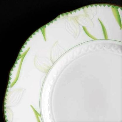 Picture of Dinner Plates