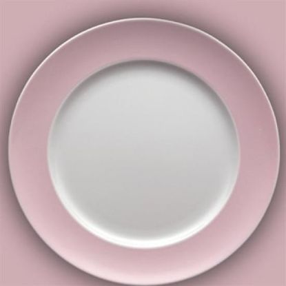 Picture of Dinner Plates