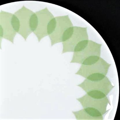 Picture of Dinner Plates