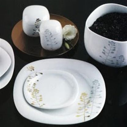 Picture of Dinner Plates