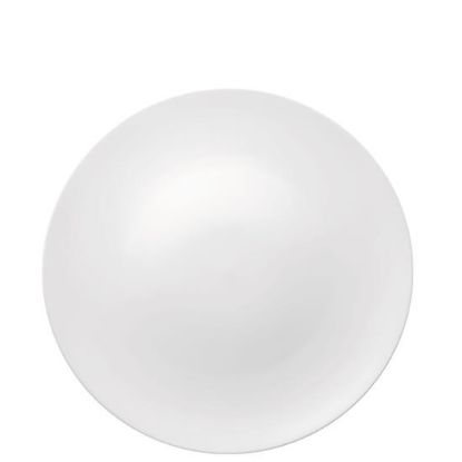 Picture of New Dinner Plate