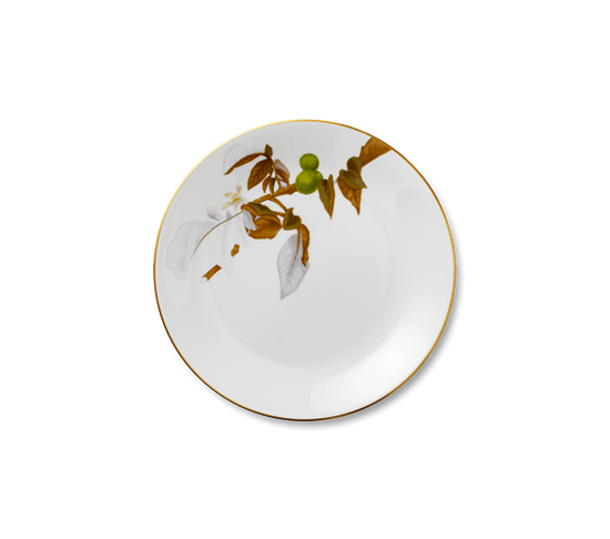 Picture of New Service Plate 12"