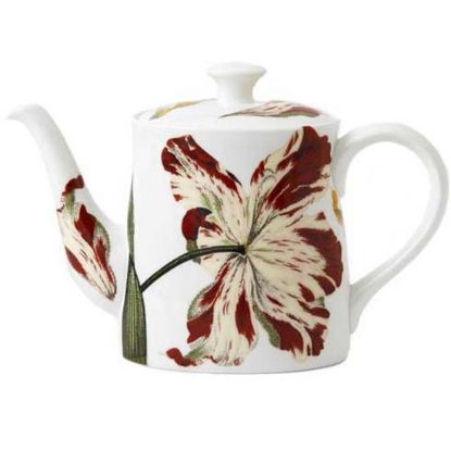 Picture of New Coffee Pot