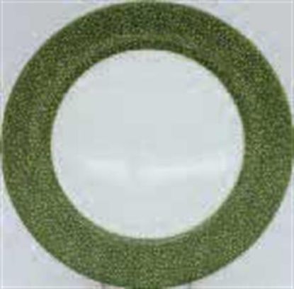 Picture of New Service Plate 12"