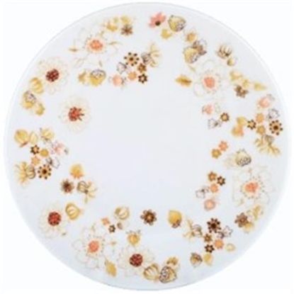 Picture of Dinner Plates