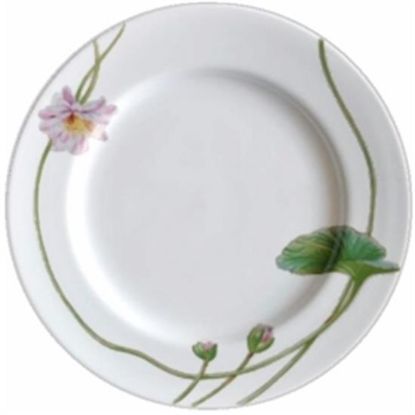 Picture of Dinner Plates
