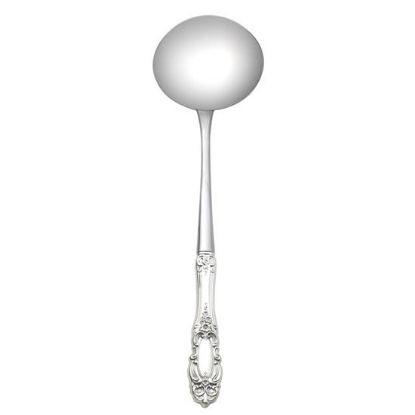 Picture of New Soup Ladle Hh