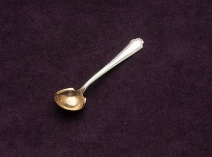 Picture of Ind. Salt Spoon