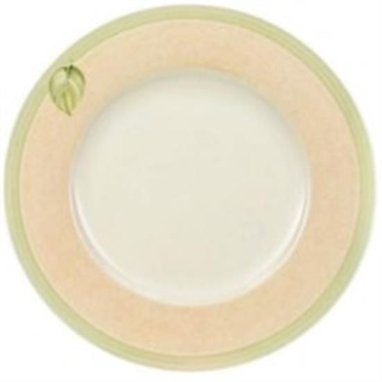 Picture of Dinner Plates