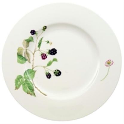 Picture of New Dinner Plate