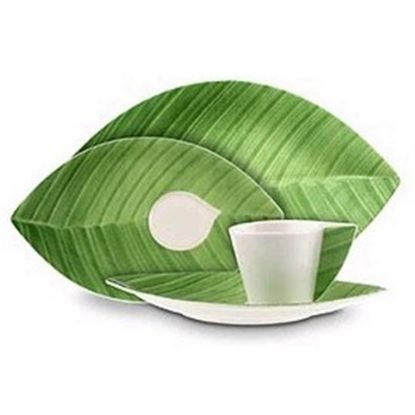 Picture of Dinner Plates