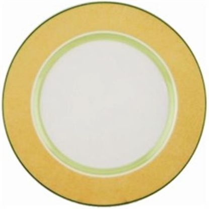 Picture of Dinner Plates