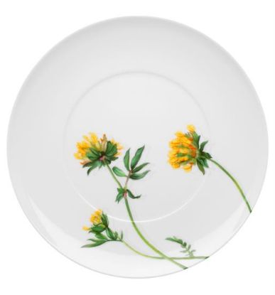 Picture of New Salad Plates