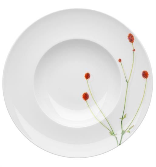 Picture of New Soup Plates